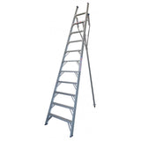 Indalex Pro-Series Aluminium Orchard Ladder 3.7m 12ft