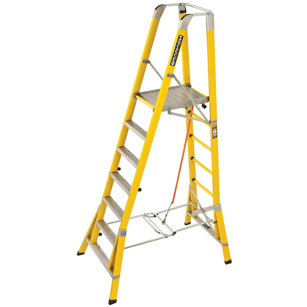 FPS2.4 Branach CorrosionMaster 8 Step Platform Ladder (Platform Height 2.4m) Main View