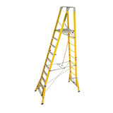 FPS3.0 CorrosionMaster 10 Step Platform Ladder (Platform Height 3.0m) Main View