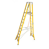 FPL3.0 Branach WorkMaster 450mm 10 Step Platform Ladder (Platform Height 3.0m) Main View