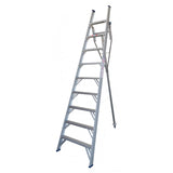 Indalex Pro-Series Aluminium Orchard Ladder 3m 10ft